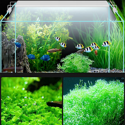 小型鱼缸水草缸灯可调节草缸海水缸照明灯迷你小缸射灯节能不伤眼 虎窝淘