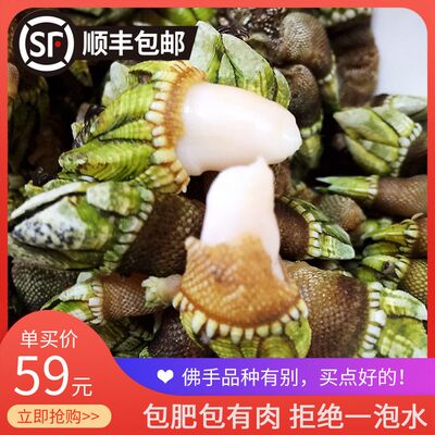 狗爪螺 价格 图片 淘宝天猫狗爪螺优惠商品大全 2 综合排序 虎窝淘
