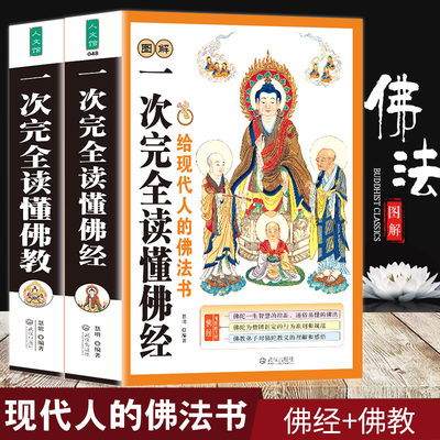正版全2册图解一次完全读懂佛教 佛经学佛经佛学佛教入门基础知识金刚经心经坛经楞严经学禅宗论无量寿经法华经华严经心经书籍 虎窝淘