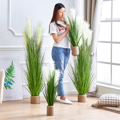 仿真芦苇草假草盆栽北欧植物装饰盆景摆件ins风家居室内落地绿植 虎窝淘