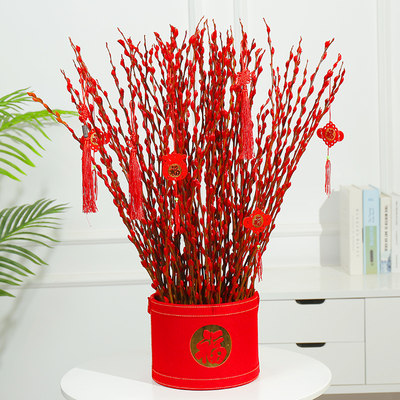 虞美人花苗冰岛虞美人盆栽庭院植物阳台花卉多季开花冰岛虞美人花 虎窝淘