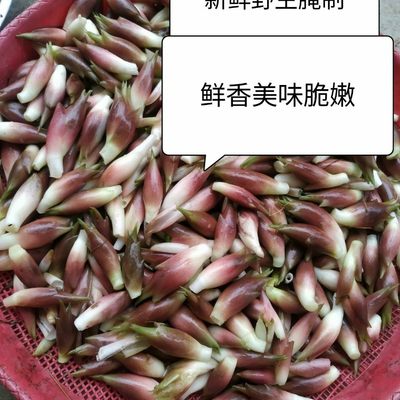 阳荷 淘宝天猫优惠券折扣 阳荷相关商品大全价格图片搜索赛选 综合排行 虎窝淘