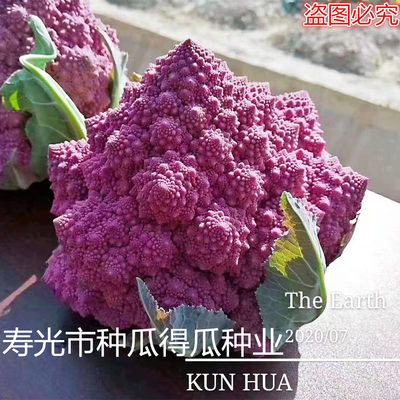 西蓝花 价格 图片 淘宝天猫西蓝花优惠商品大全 5 综合排序 虎窝淘