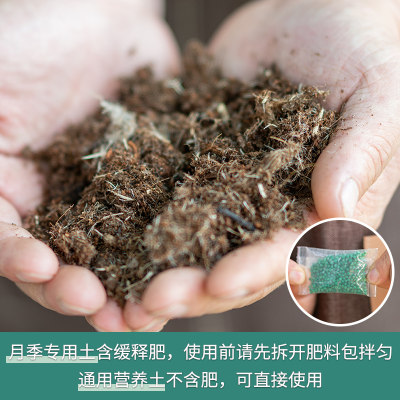 天狼月季栽培基质配方土30l月季专用型植物营养土 虎窝淘