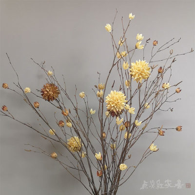 桦枝绣球禅意树枝干花干支咖啡馆艺术馆家居摆设花瓶摄影道具新品 虎窝淘