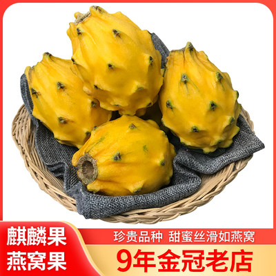 新鲜麒麟果4 5斤大果珍贵黄皮火龙果甜蜜燕窝果水果发顺丰空运 虎窝淘