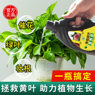 盆栽肥料 价格 图片 淘宝天猫盆栽肥料优惠商品大全 综合排序 虎窝淘