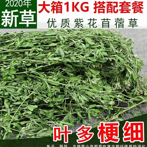紫花苜蓿草干草头茬烘干苜蓿草饲料幼兔兔子草龙猫草荷兰猪草兔粮