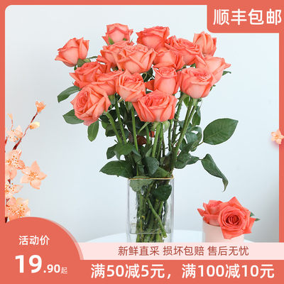 二本线赤玉土保真鹿沼土虹彩日向石整包日本原包进口 虎窝淘