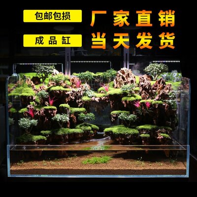 Landen金晶五线超白鱼缸水草玻璃定做草方长形海系列汽车级60可更 虎窝淘