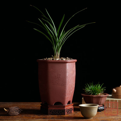 轻奢通刻山水口线宫灯紫砂盆兰花盆多肉盆翠盖荷绿云宋梅大富贵盆 虎窝淘