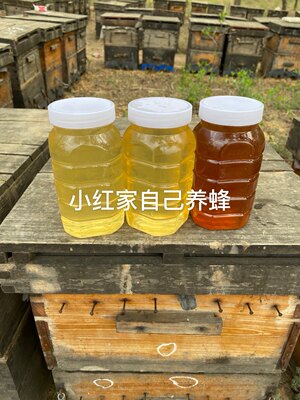 陕北枣妹子小红家枣花蜜 槐花蜜 结晶土蜂蜜 1瓶 2斤 60元 虎窝淘