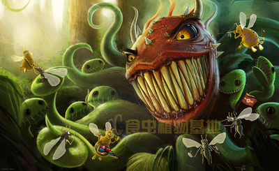 食虫植物 各类 捕蝇草 瓶子草 茅膏菜 猪笼草 盆栽食虫草食人花 虎窝淘