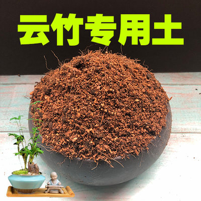 花舞雪日本进口花吹雪促花肥植物营养液有机肥料开花神器盆栽家用 虎窝淘