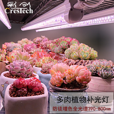 多肉植物补光灯防徒长双排芯片强劲上色led全光谱灯管过夏生长灯 虎窝淘