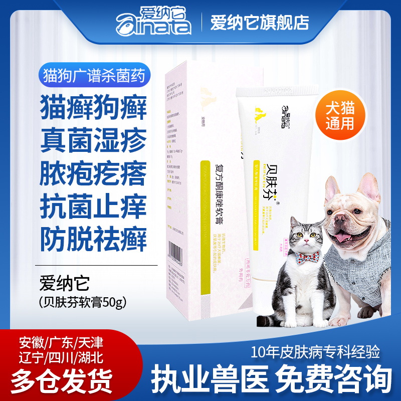 適当な価格 50g 犬猫用 現代製薬 動物用医薬品 ×2個セット