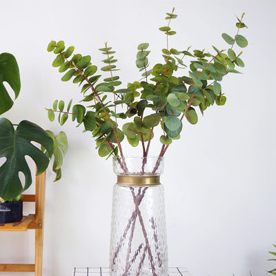 北欧ins风仿真尤加利胶片金钱叶长枝绿植客厅餐桌插花艺装饰摆设 虎窝淘
