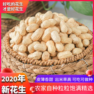 年新带壳花生粉皮落花生果新鲜5斤装农家自种带壳生花生米种子 虎窝淘