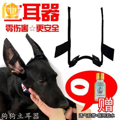 狼青杜宾黑狼宠物狗狗耳朵立耳器狗杜宾耳贴矫正大型犬德牧矫正器 虎窝淘