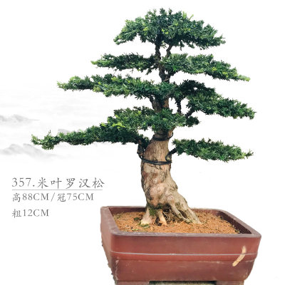 0bipn Xiaiqpzm