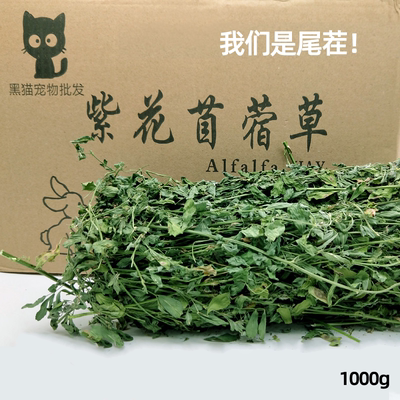 现货21紫花苜蓿草热风烘干龙猫兔子豚鼠荷兰猪宠物牧草增肥长胖 虎窝淘