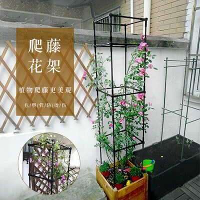新品包塑方形花架支架藤月季欧月铁线莲爬藤园艺植物花架阳台盆栽 虎窝淘