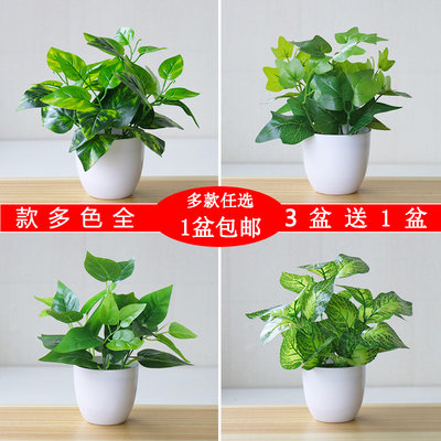 多款仿真植物假干花绿植室内外装饰塑料摆放绿萝花卉盆栽仿真花草 虎窝淘