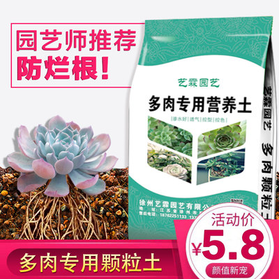 多肉植物专用营养土老桩土多肉纯颗粒土壤肉肉土包邮透气特价清仓 虎窝淘