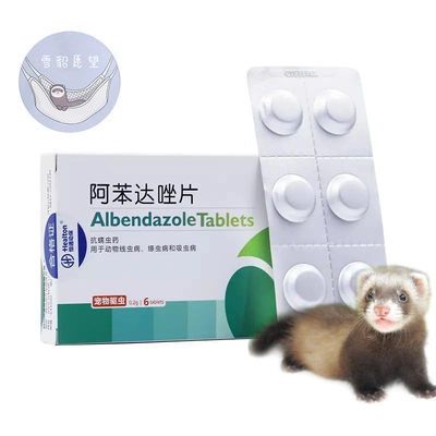 宠物貂体内驱虫狗狗毛猫咪体内驱虫保护健康 虎窝淘