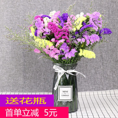 云南干花真花花束风干花混搭勿忘我满天星水晶草客厅装饰含花瓶 虎窝淘