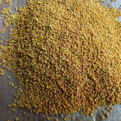 蜜蜂采集的葵花蜂花粉向日葵花粉250g 蜜蜂花粉葵花花粉 虎窝淘