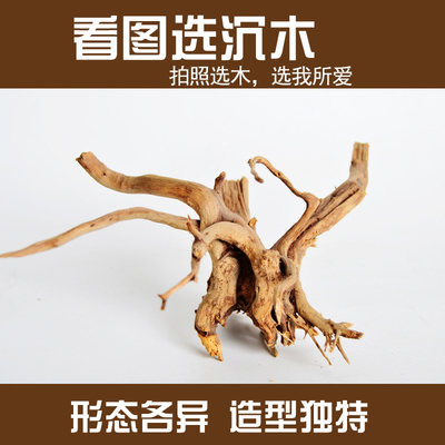 鱼缸造景沉木大号大型装饰水陆缸天然杜鹃根树形流木树根木头小号 虎窝淘
