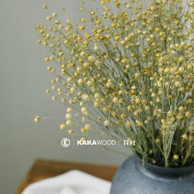 天然干花干果干燥植物花束搭配配果软装家居装饰花摄影道具小星果 虎窝淘