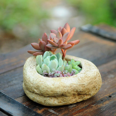 仿石头水泥盆厂家多肉小花盆复古田园风格家居小植物盆器 虎窝淘