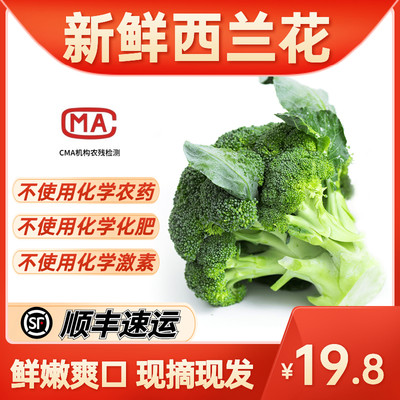 西兰花新鲜 价格 图片 淘宝天猫西兰花新鲜优惠商品大全 综合排序 虎窝淘