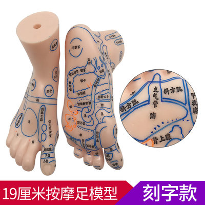 经络通清晰足底反射区模型脚底按摩点穴足部经络穴位图脚模形足疗 虎窝淘