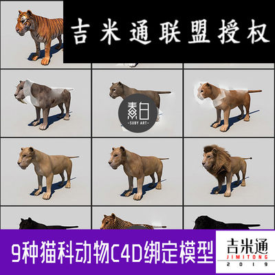 9种大型猫科动物c4d绑定模型合集美洲豹美洲狮剑齿虎猎豹黑mx758 虎窝淘