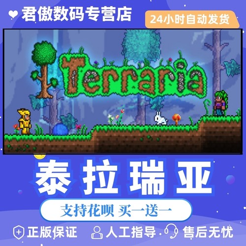 Steam Pc正版游戏泰拉瑞亚terraria 沙盒联机游戏国区礼物阿根廷礼物白号成品号