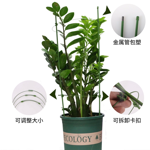 昙花支架固定架花架花杆园艺支柱伸缩圆形包塑夹子爬藤黄瓜家用