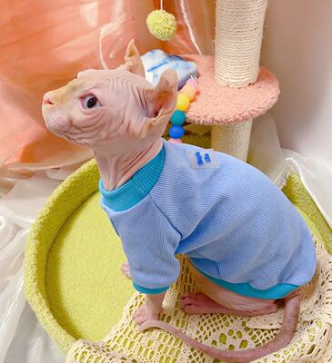 矮脚猫衣服】价格_图片_淘宝天猫矮脚猫衣服优惠商品大全_综合排序- 虎窝淘