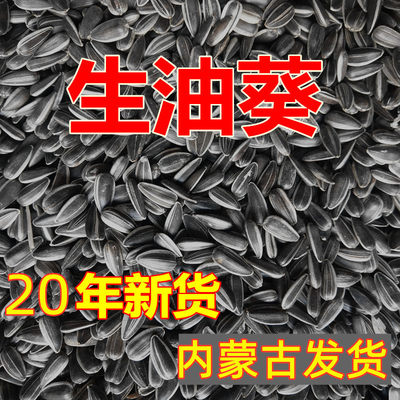 生黑珍珠小瓜子葵花子油葵籽鹦鹉鸟食仓鼠零食鸟粮鸽粮5斤包邮 虎窝淘