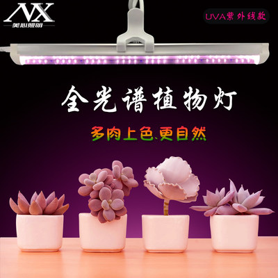 全光谱多肉补光灯仿太阳光绿植光照灯室内家用上色led植物生长灯 虎窝淘