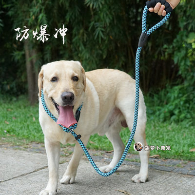 从小用到大p链牵引绳拉布拉多金毛防爆冲狗链脖圈项圈大狗遛狗链 虎窝淘