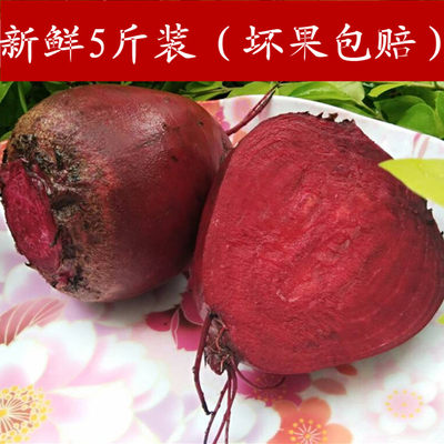 徐州新鲜甜菜根1斤至10斤装红菜头红甜菜根紫菜头红色甜菜蔬菜 虎窝淘