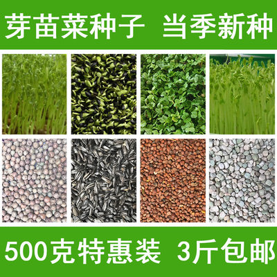 芽苗菜种子无土栽培水培蔬菜种子空心菜豌豆松柳油葵豆芽菜种子 虎窝淘