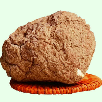 虎奶菌肺胃咳马来西亚野生正品热带菇大颗虎乳灵芝500g营养汤料包_虎窝淘