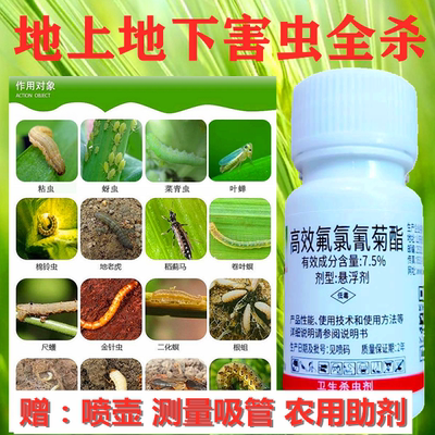 庭院室内盆栽巴西铁茉莉花罗汉松佛肚竹薄荷茶花三角梅打虫药杀剂 虎窝淘