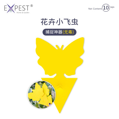 绿植盆栽除虫花卉家用expest植物灭花盆小黑飞虫神器粘虫板室内 虎窝淘