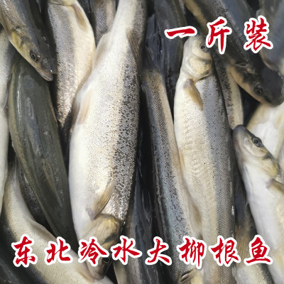 白条鱼 价格 图片 淘宝天猫白条鱼优惠商品大全 综合排序 虎窝淘