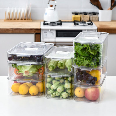 長方形可瀝水海鮮肉類保鮮盒瀝水盤冰箱冷凍盒蔬果密封盒水果收納盒食品分類盒隨機出貨 Pchome 24h購物